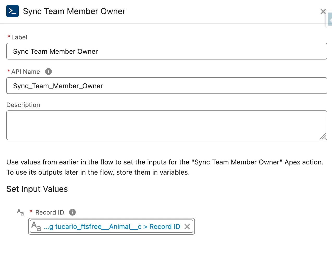 Sync Team Member Owner action configuration